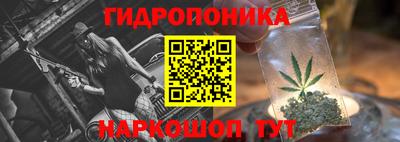 a pvp Кимры