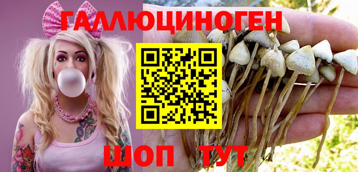 Псилоцибиновые грибы MAGIC MUSHROOMS Кудымкар