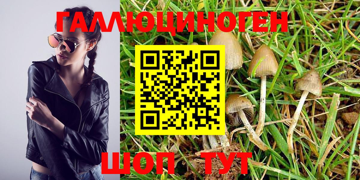 Кудымкар  купить наркотики сайты  Вход с VPN  Галлюциногенные грибы Cubensis 